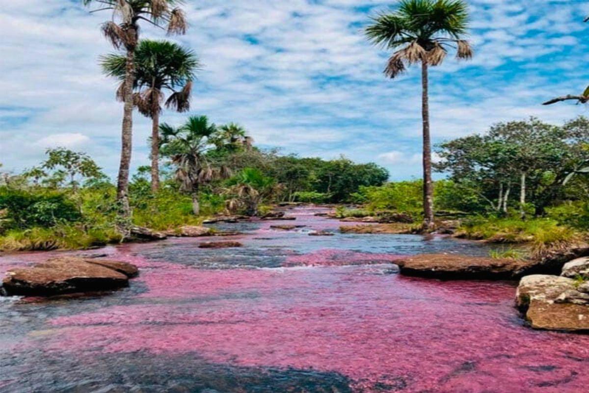 Guía de viaje Guaviare: cómo llegar, qué hacer y tips 2025