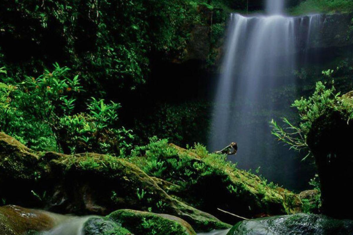 10 planes imperdibles en Putumayo, cómo llegar y tips 2025