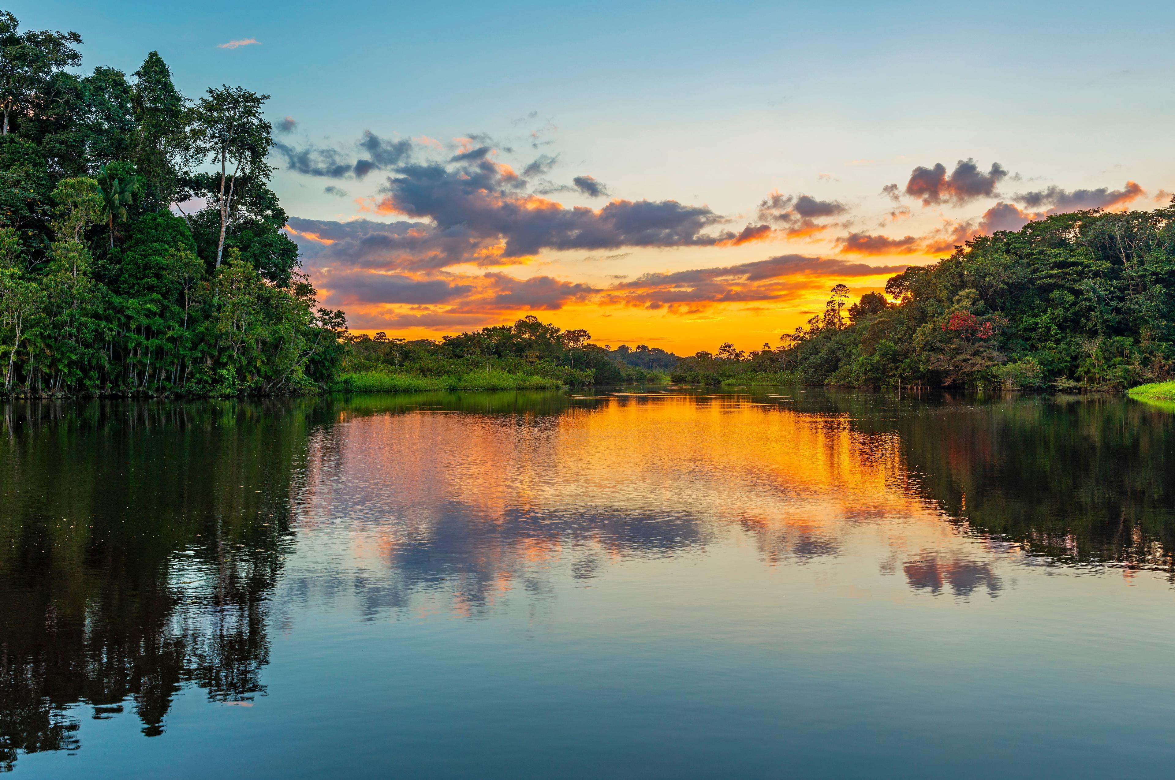 Planes de Viaje de Naturaleza Recomendados en Colombia 2025