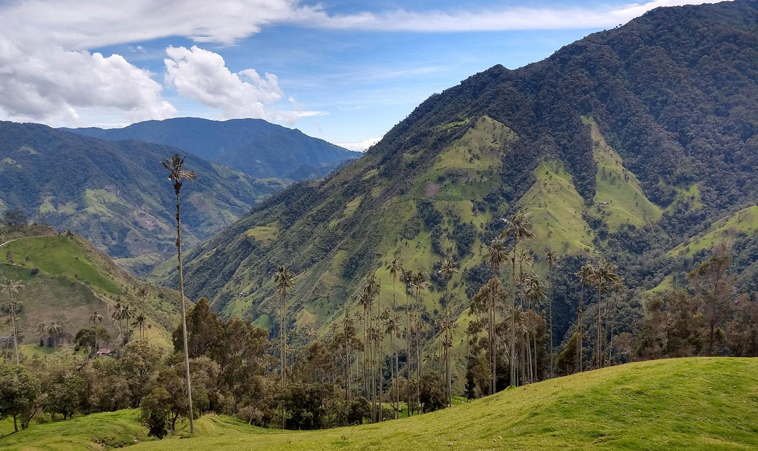 Los hijos del Machín