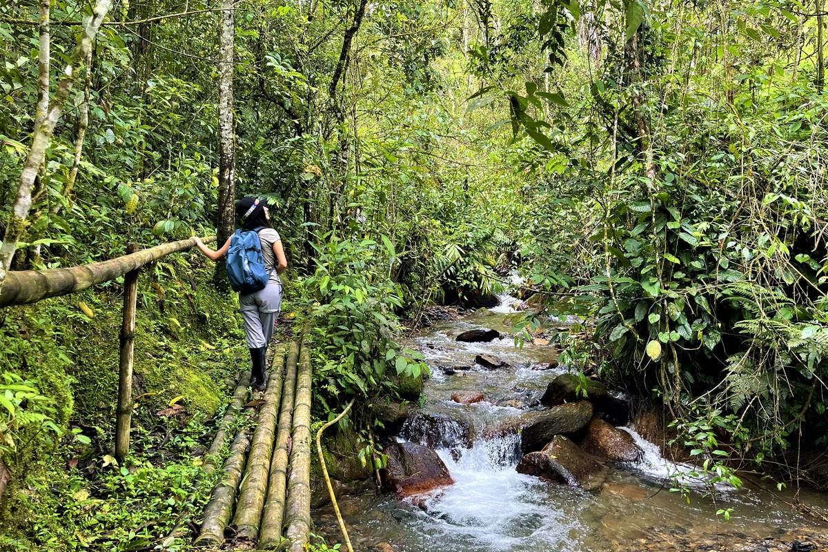 Educación Ambiental y Senderismo en Paraíso Andino