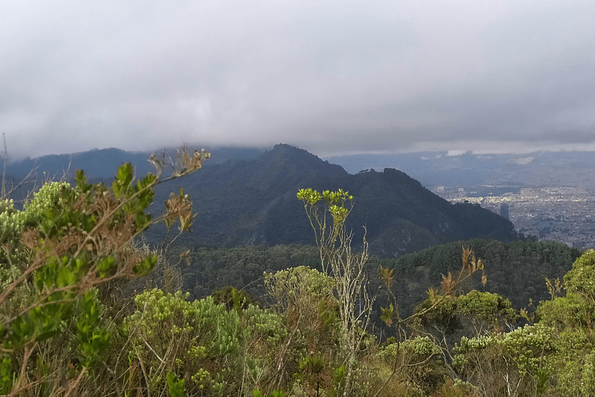 Caminata Las Moyas en los Cerros Orientales Bogotá