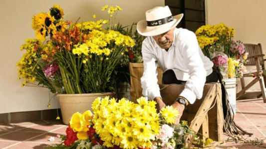 Cultura silletera en Santa Elena desde Medellín