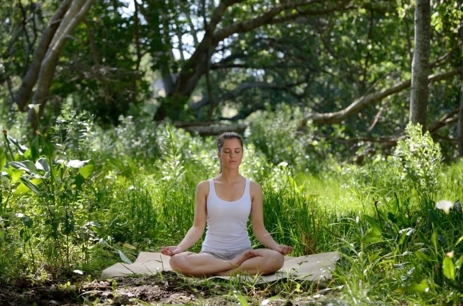 Retiro de bienestar y meditación en la naturaleza cerca de Bogotá