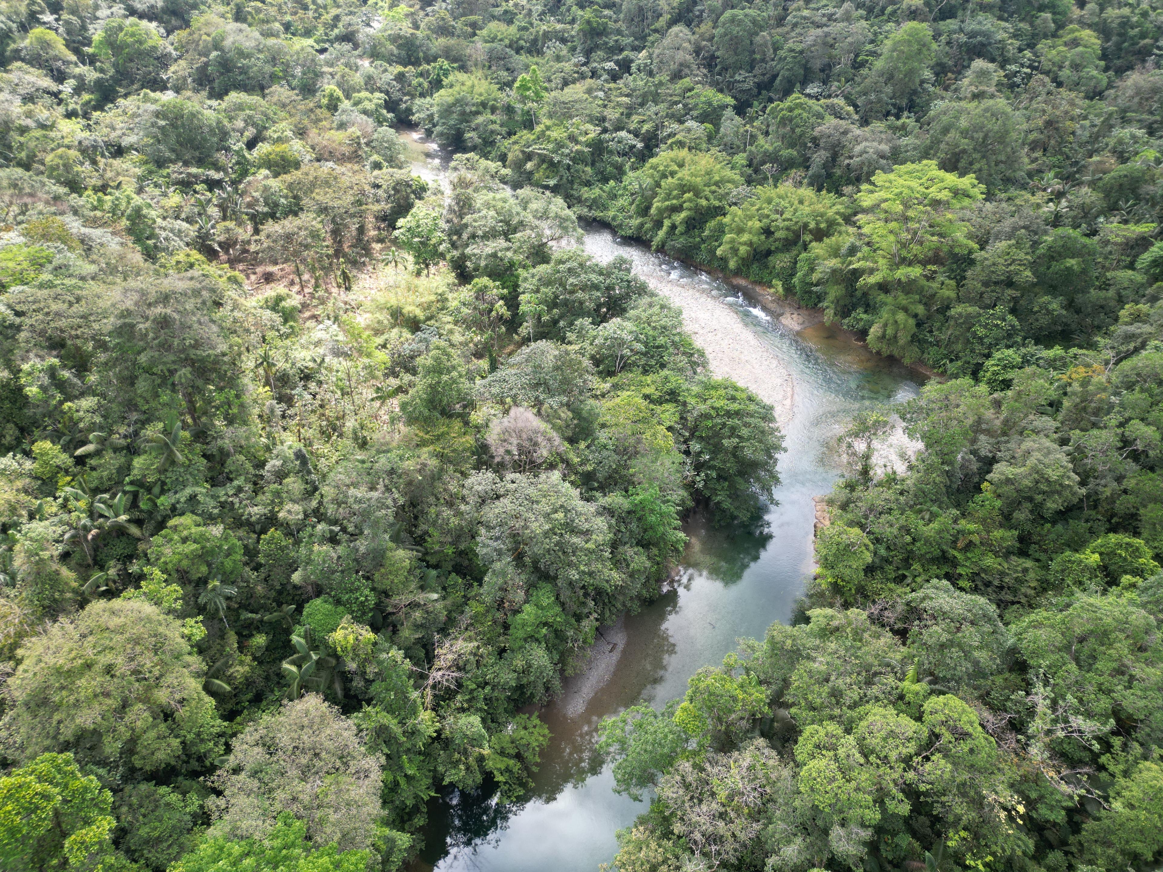 Conoce la reserva natural de San Cipriano desde Cali