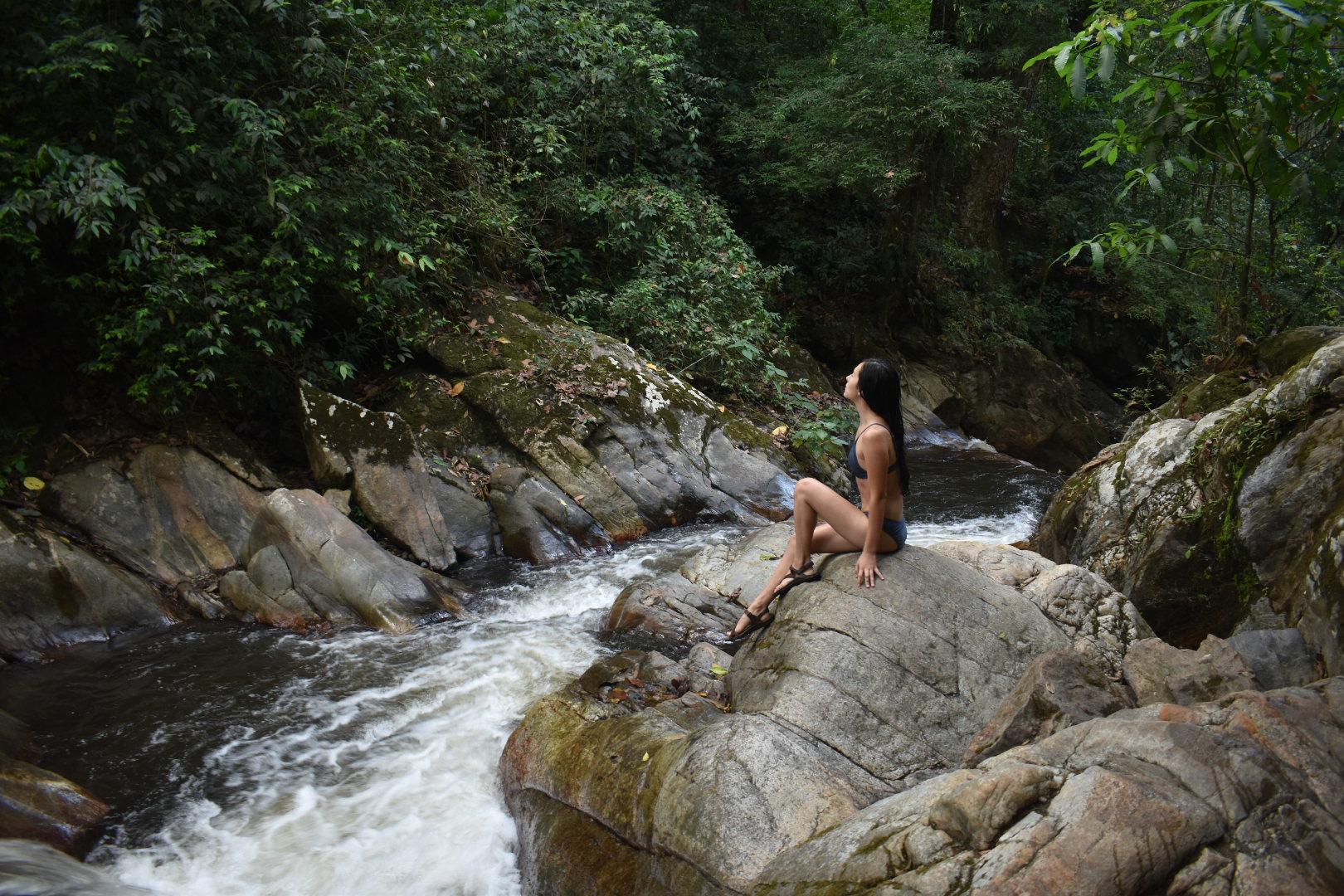 Pasadía a Minca, hacienda cafetera y cascadas desde Santa Marta