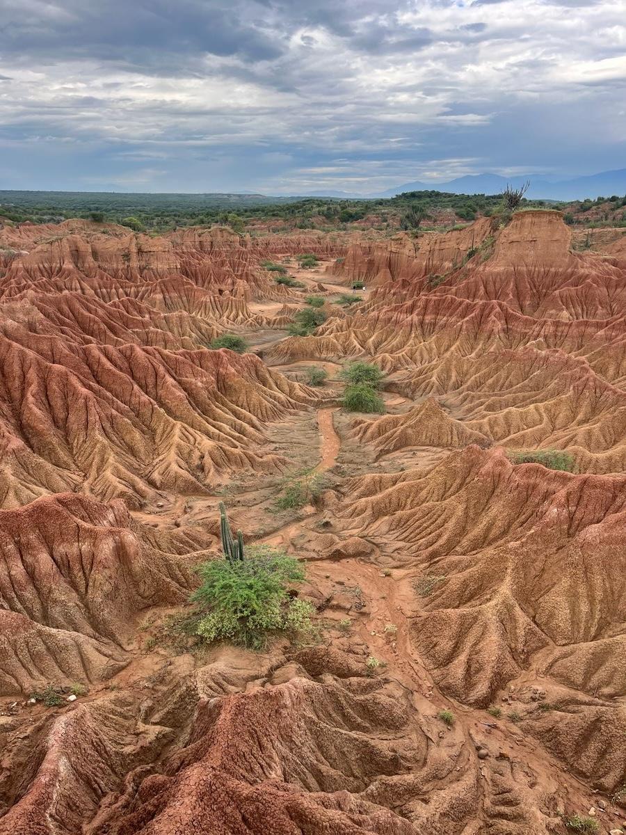 🛣️ Caravan to the Tatacoa Desert: Nature, Stars, and Adventure