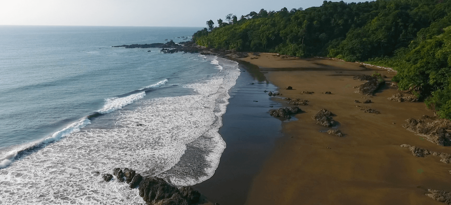 Reserva natural, ecolodge y PNN Utría desde Bahía Solano