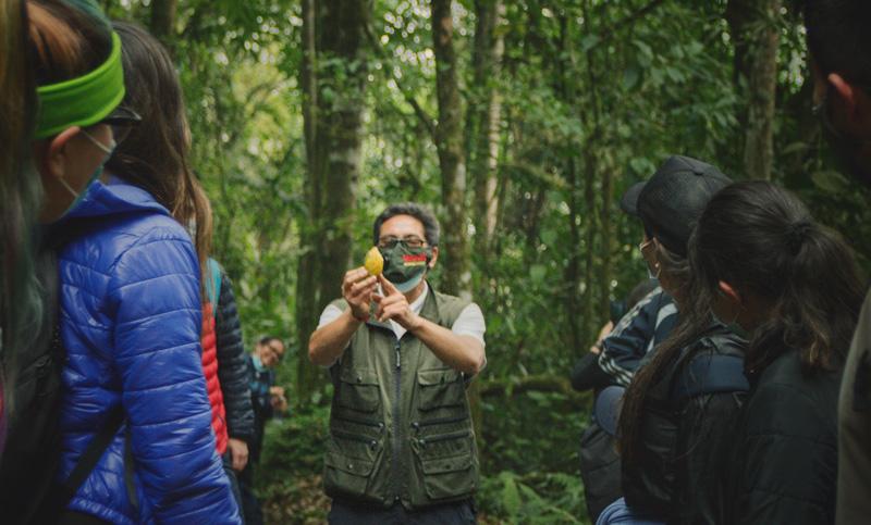 Declaración de valores Road Trip Colombia