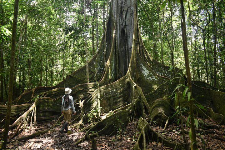 3 days in the Amazon: Mocagua and Altamira Indigenous Community from Leticia
