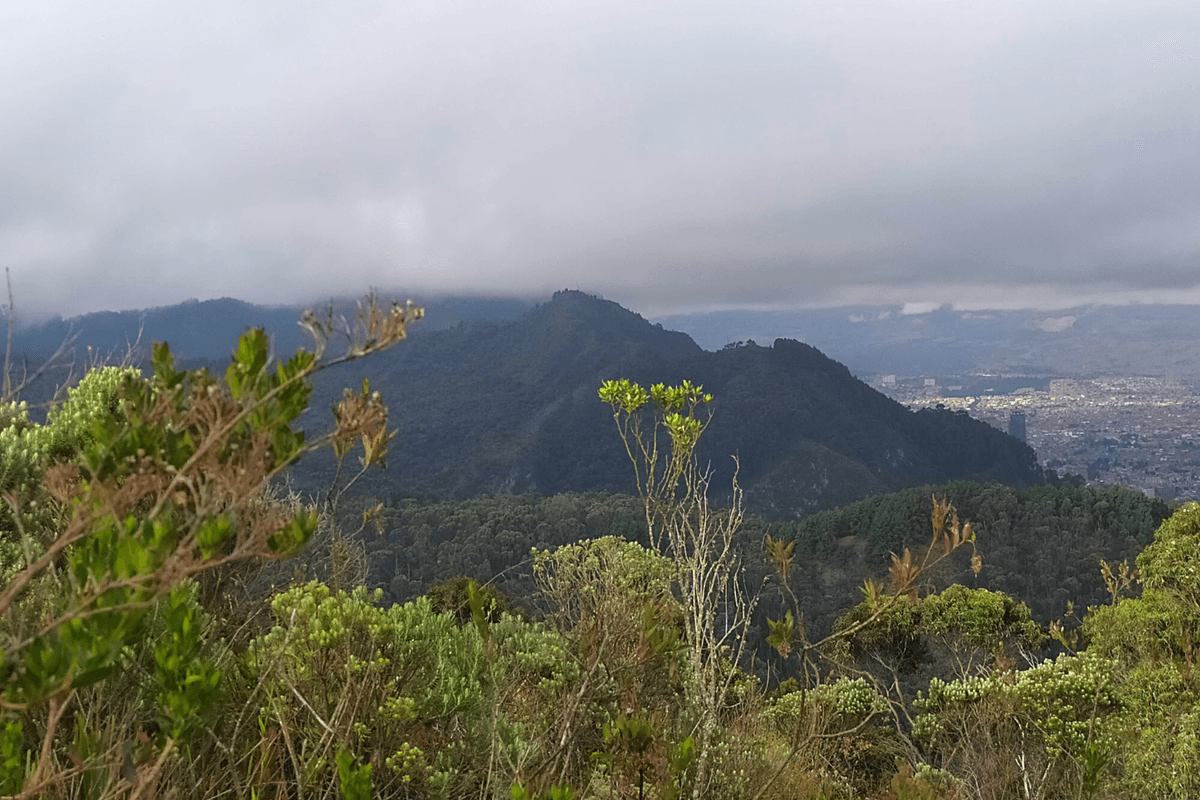Caminatas Cerros Orientales Bogotá