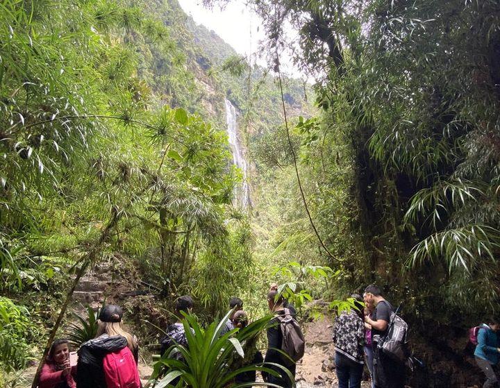 Hiking through a Cloud Forest to the highest waterfall in Colombia, La Chorrera