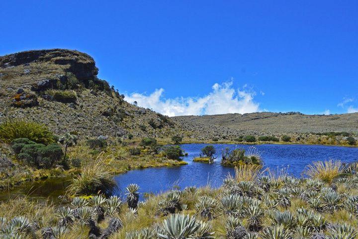 Hiking the paramo of Sumapaz, the biggest paramo in the world!