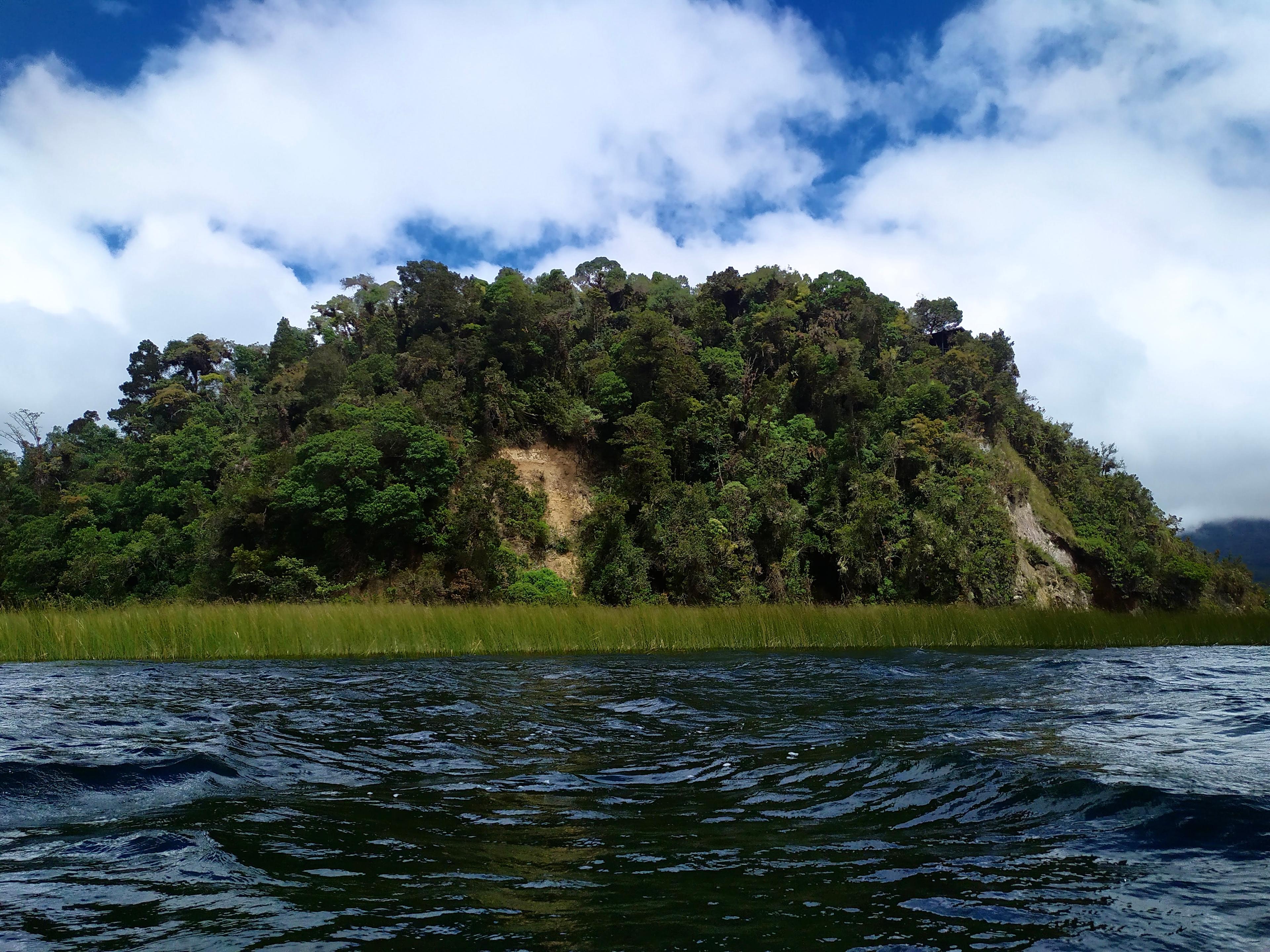 Descubre la naturaleza: Pasadía único en la Laguna de la Cocha