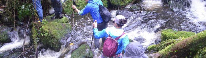 Trekking 7 Waterfalls in La Calera