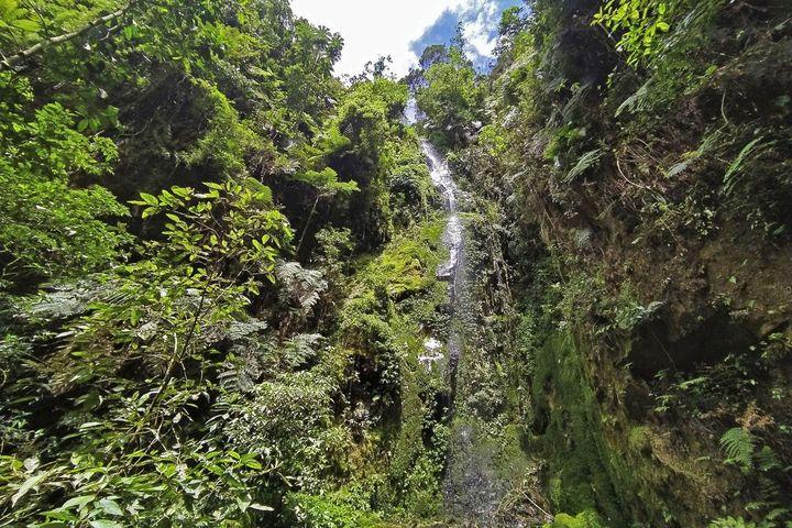Trekking Nimbosilva: Una aventura en una selva andina